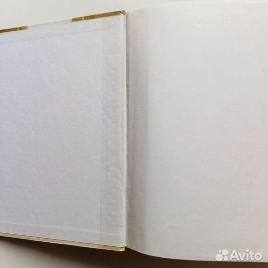 Норман Дэвис – История Европы