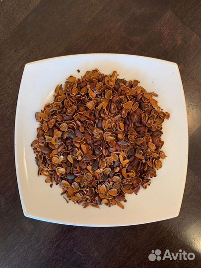 Скорлупа кедрового ореха
