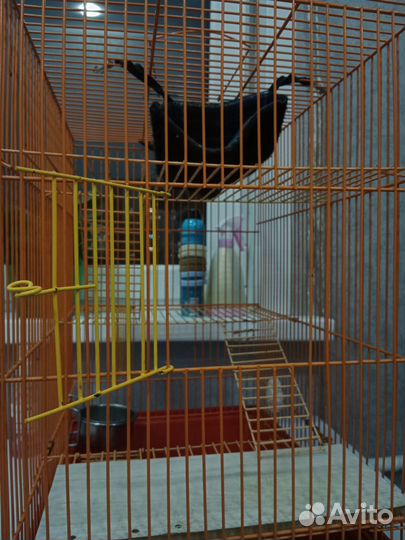 Клетка для грызунов большая