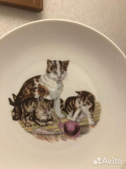 Тарелки пара. Настенные тарелки