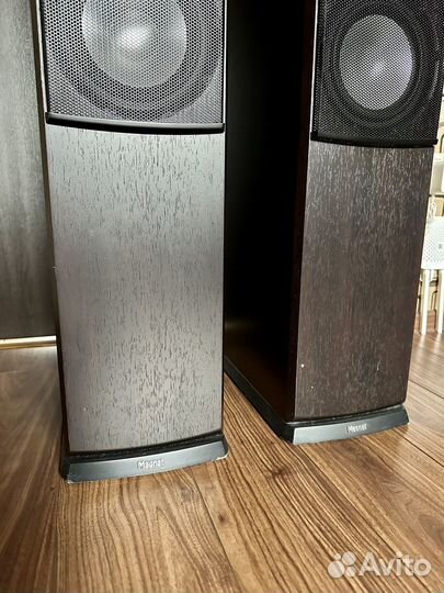Напольная акустика magnat quantum 507