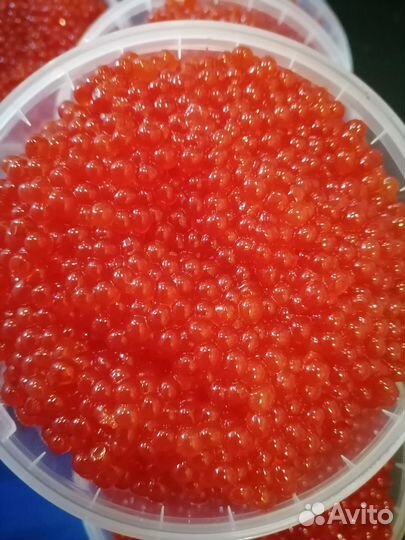 Икра красная Кижуч 2023