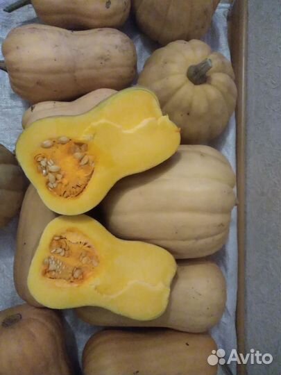 Продам тыкву