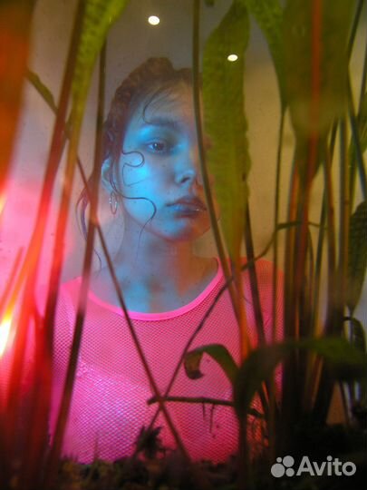 Olympus Camedia C-5060 Wide Zoom