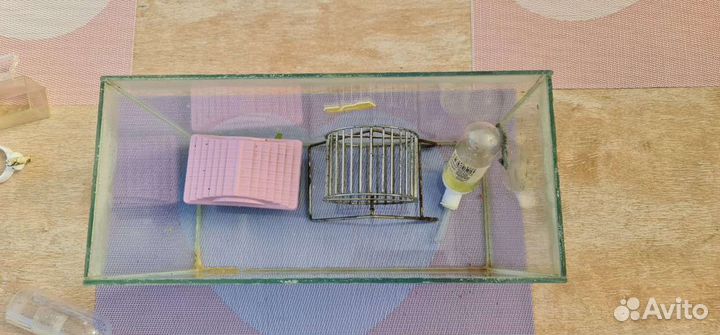 Аквариум для грызунов