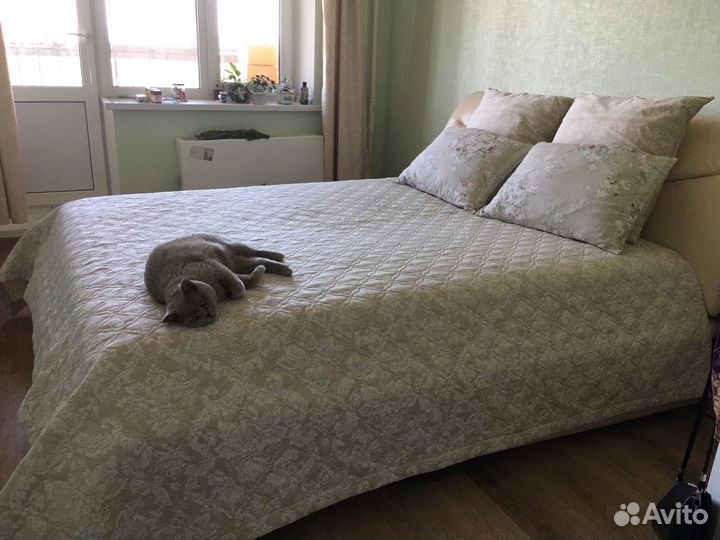 Красивое новое покрывало