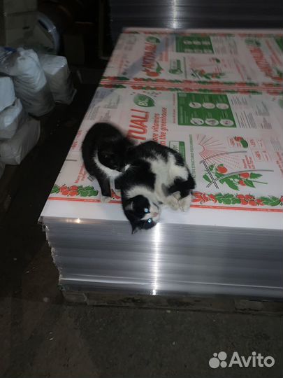 Поликарбонат Цветной и тепличный