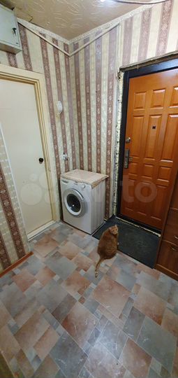 2-к. квартира, 37,2 м², 3/5 эт.
