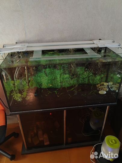 Аквариум