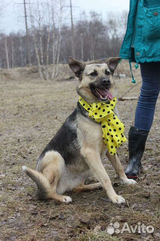 Маленькую Октавию выбросили умирать