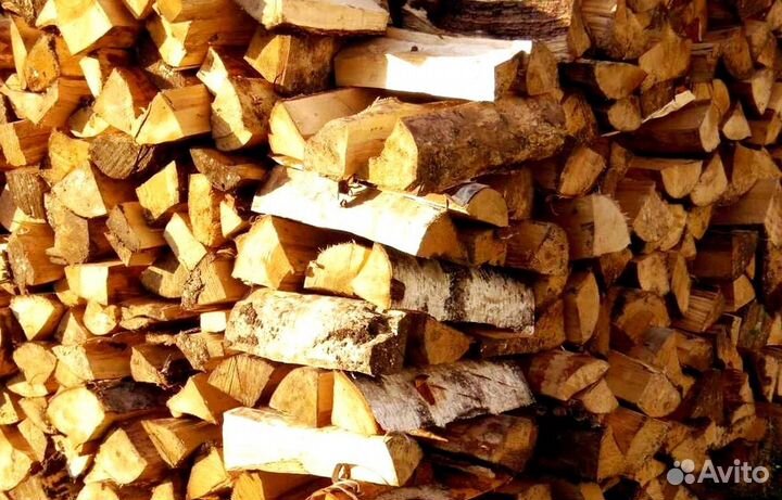 Дрова свежие