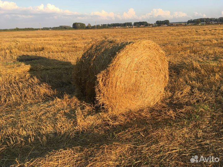 Солома в рулонах