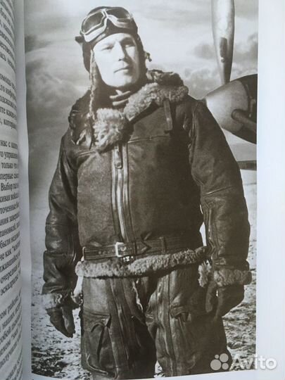 Покрышкин серия книг жзл