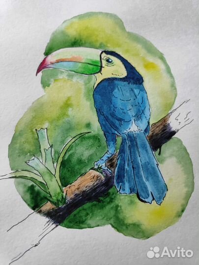Акварельные скетчи. Туканы