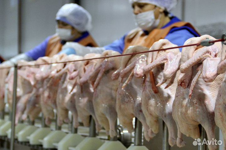 Разнорабочий. Птицефабрика Великий Новгород