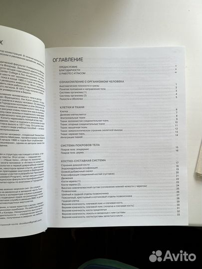 Анатомия человека: атлас-раскраска