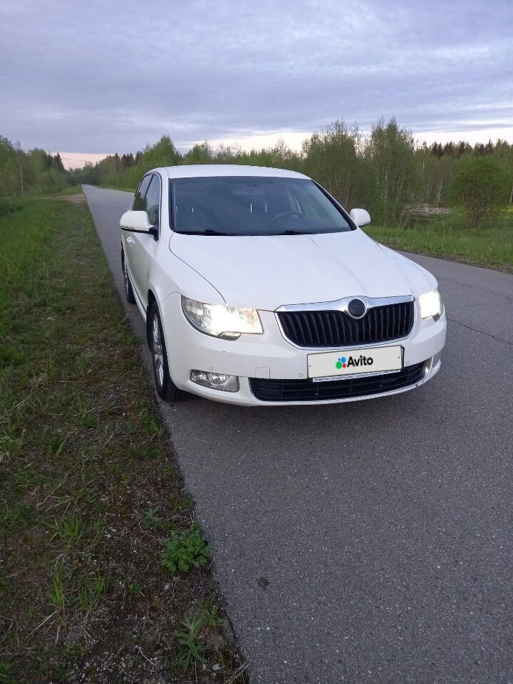 Skoda Superb: фото владельца