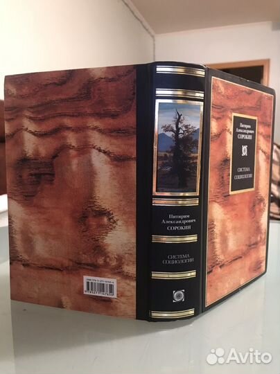 П. Сорокин. Система социологии