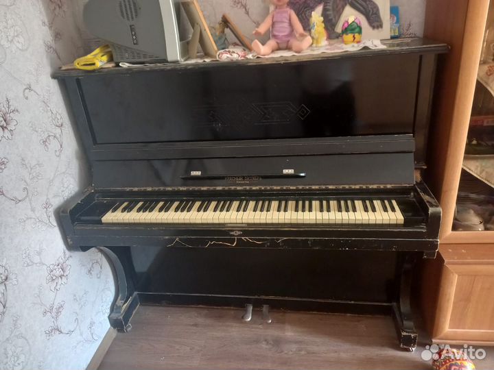 Отдам даром бесплатно