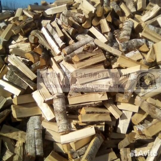 Дрова осиновые хвойные навалом
