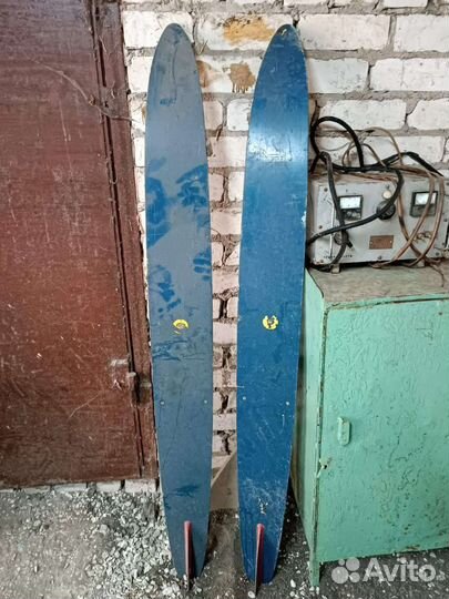 Водные лыжи дельфин