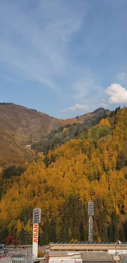 Дом 380 м² на участке 12 сот.