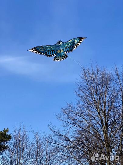 Воздушный змей огромный Орел 2-метровый и др