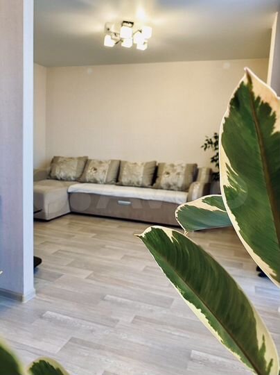 2-к. квартира, 65 м², 7/8 эт.