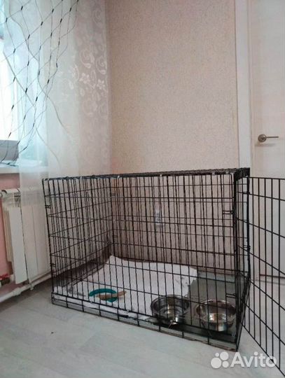 Клетка для собак