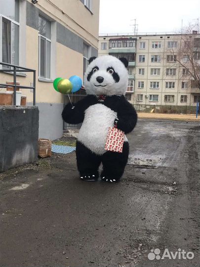 Поздравление от большой панды