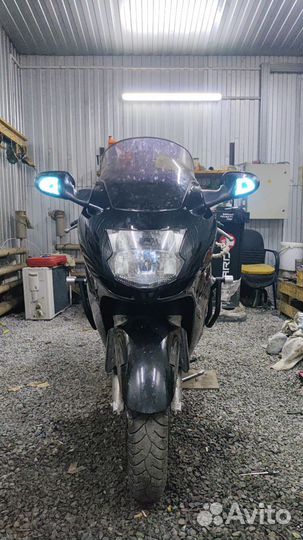 Honda cbr1100xx дрозд