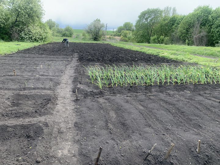 Участок 20 сот. (СНТ, ДНП)