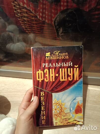 Фен шуй книги лот за две