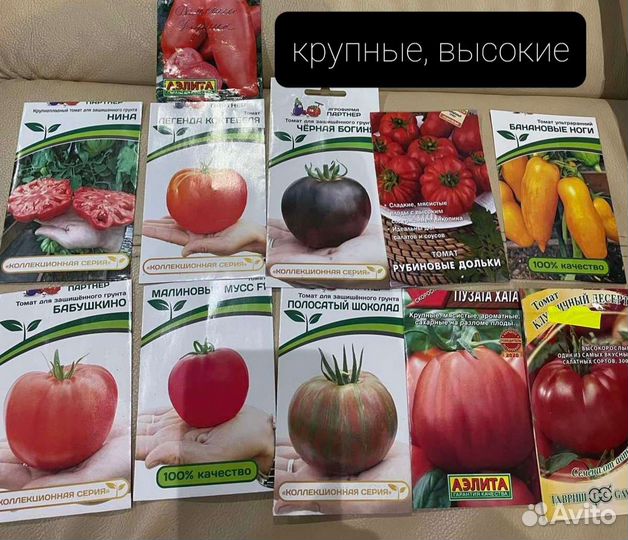 Рассада томатов для теплиц