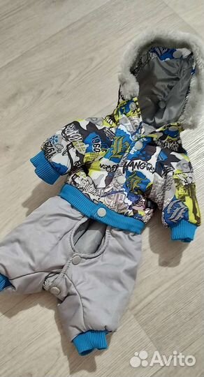 Комбинезон для маленькой собаки мальчик