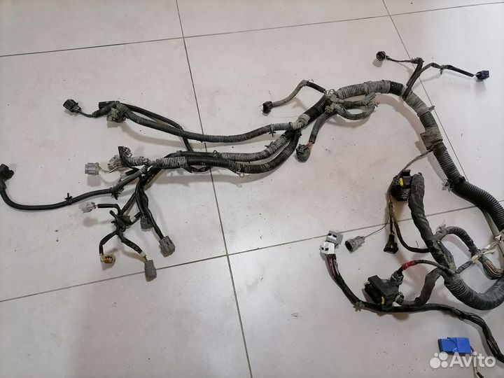 Проводка моторная 1.6 Nissan Almera Classic (B10)