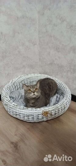 Лежанка для животных