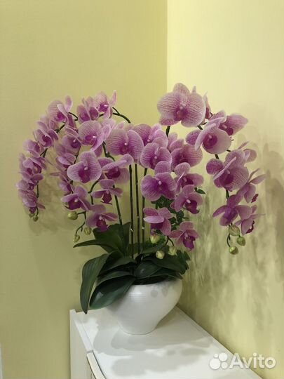 Композиция из орхидей