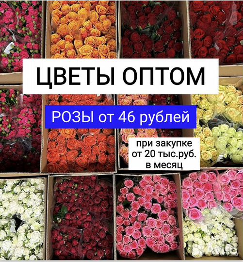 Цветы срезка оптом - роза хризантема эвкалипт пион