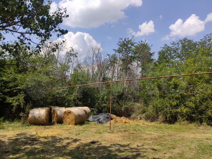 Дом 55 м² на участке 33 сот.