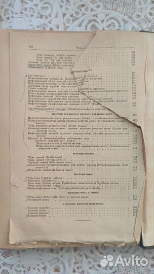 Частная эпизоотология