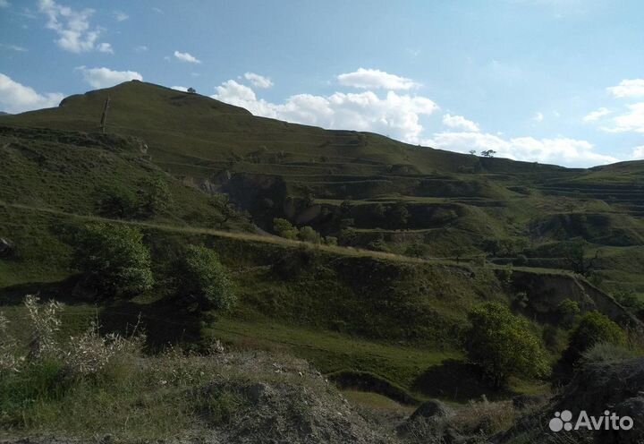 14июн24. Огни и горы Дагестана /цо3045