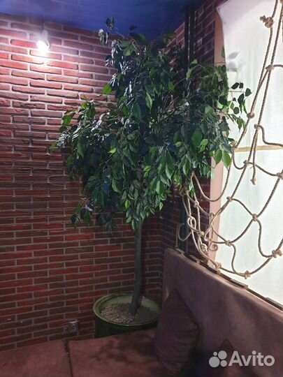 Дерево искусственное