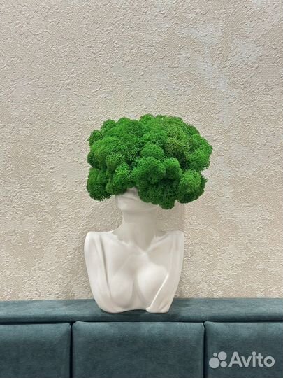 Декор для интерьера со стабилизированным мхом