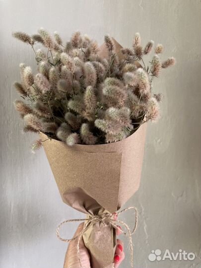 Сухоцветы для творчества