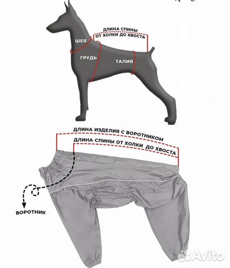 Комбинезон дождевик для собаки средних пород