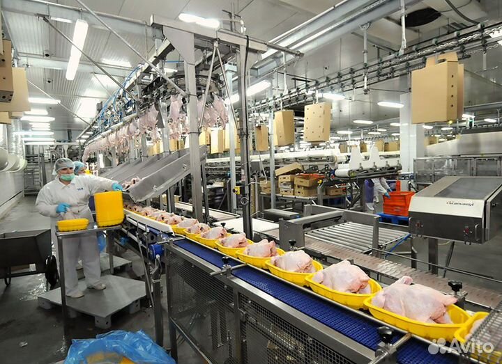 Упаковщик на птицефабрику Тамбовская область