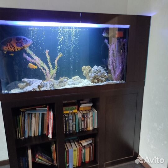 Аквариум