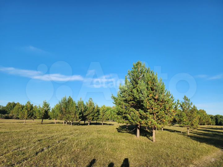 Участок 10,4 сот. (ИЖС)