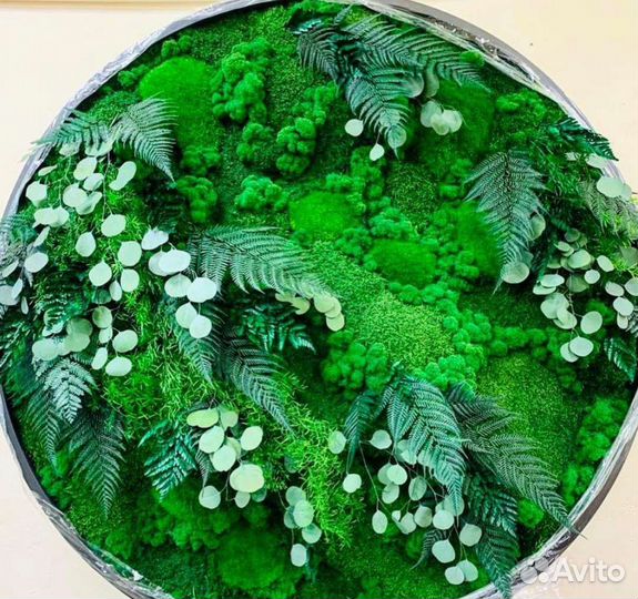 Круг из мха со мхом панно фитокартина